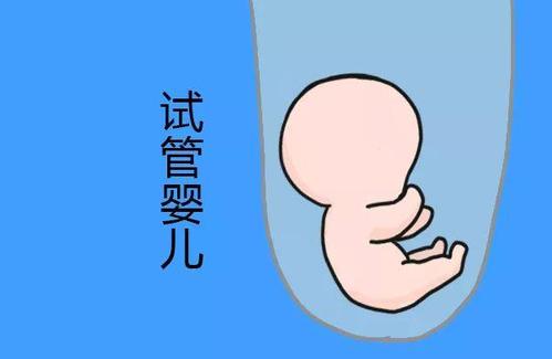 实验室设备